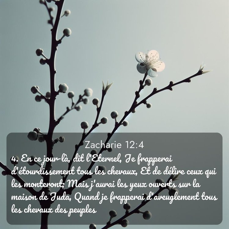 image nature avec verset biblique de la Bible