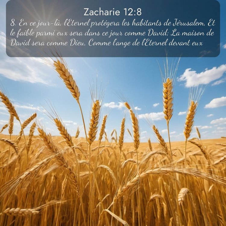 Segond Zacharie 12:8