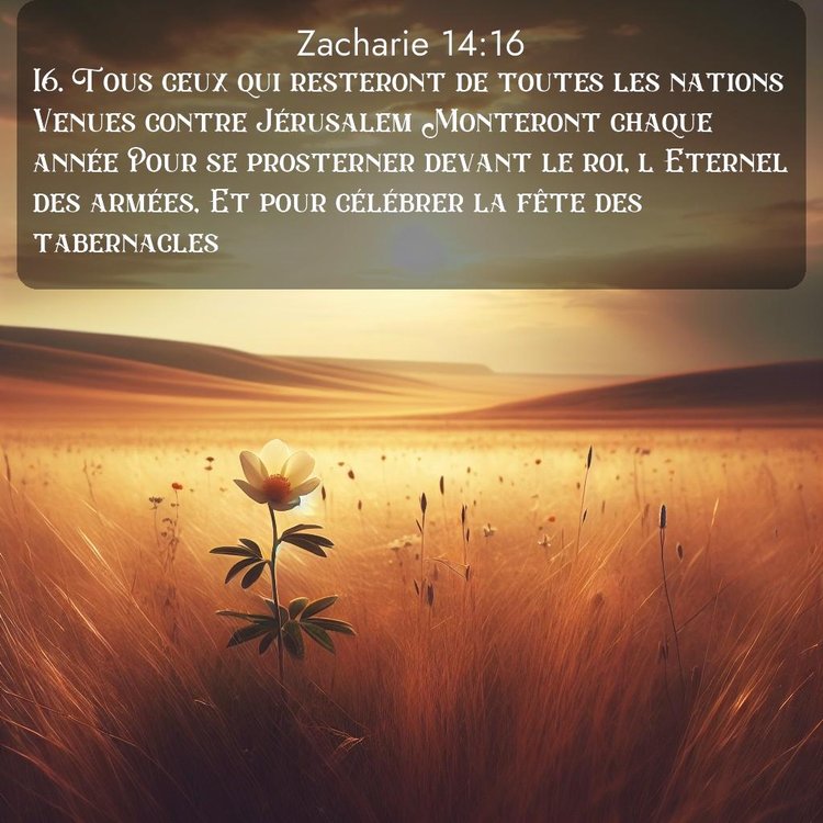 image nature avec verset biblique de la Bible
