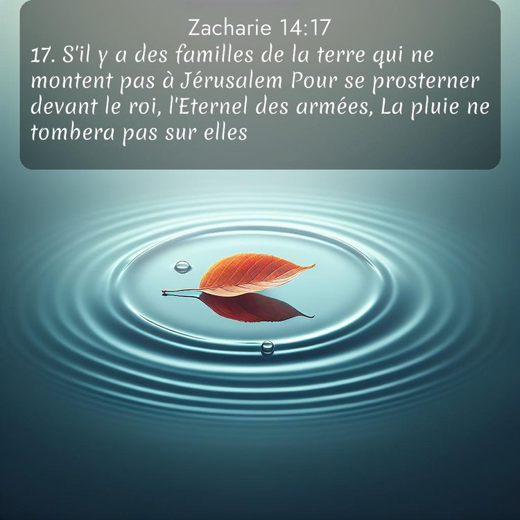 Segond Zacharie 14:17