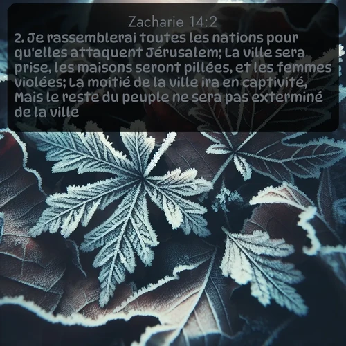 Segond 38 14:2