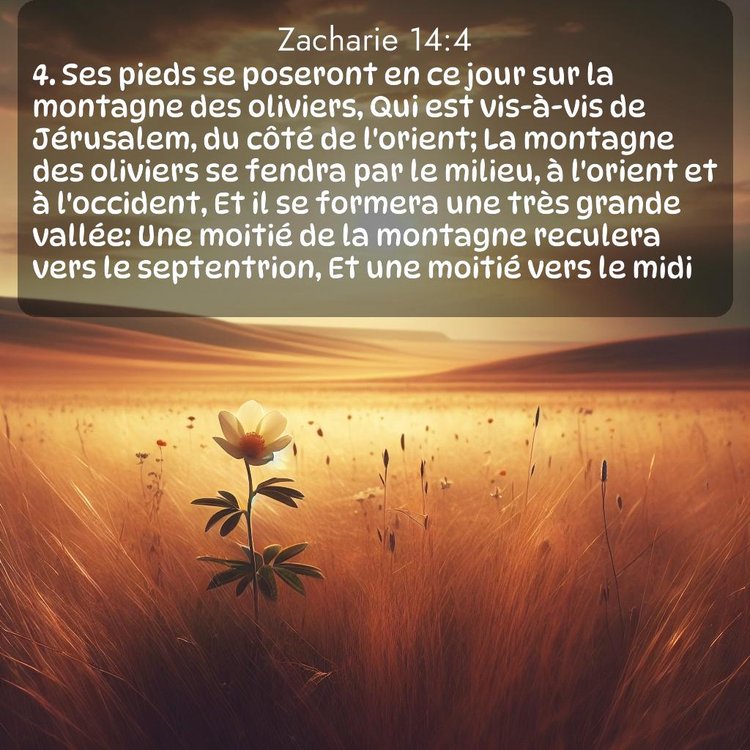 Segond Zacharie 14:4