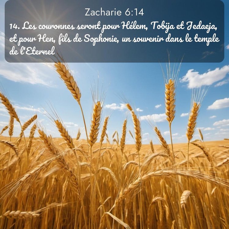 Segond Zacharie 6:14