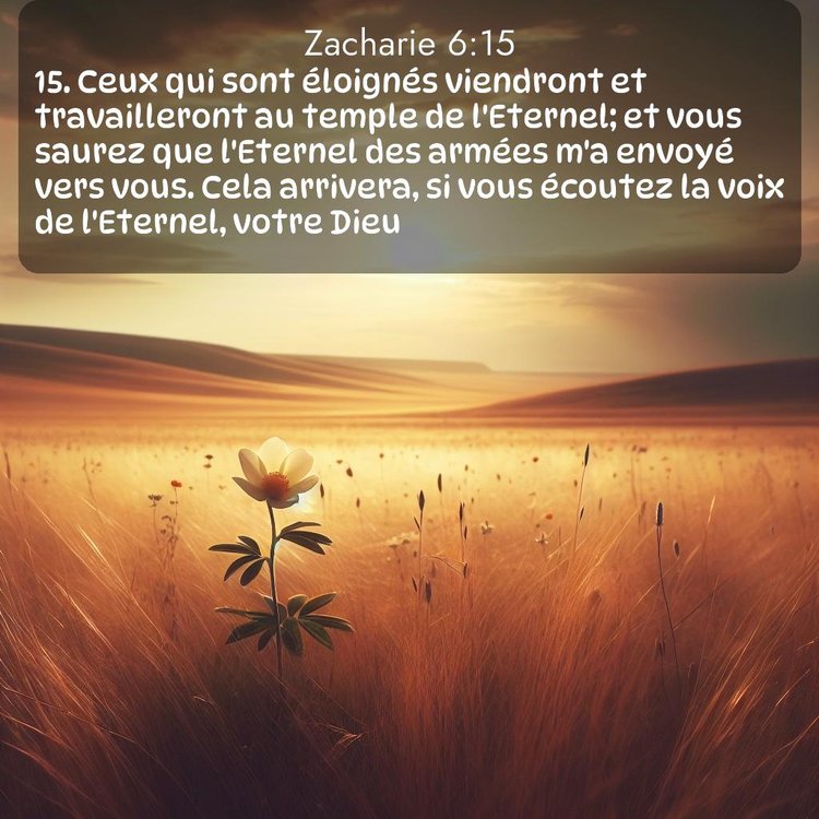 image nature avec verset biblique de la Bible