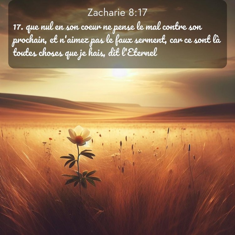 Segond Zacharie 8:17