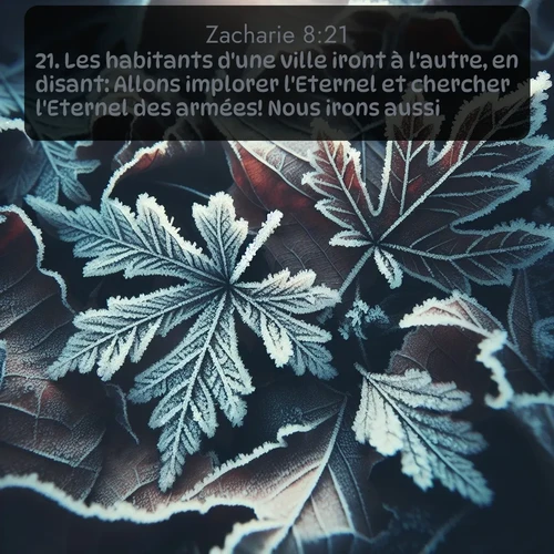 Segond Zacharie  ; image nature: image avec le verset biblique :Les habitants d&#039;une ville iront à l&#039;autre, en disant: Allons implorer l&#039;Eternel et chercher l&#039;Eternel des armées! Nous irons aussi! ;  ; 8:21