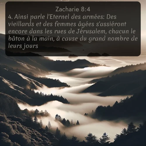 Segond Zacharie  ; image nature: image avec le verset biblique :Ainsi parle l&#039;Eternel des armées: Des vieillards et des femmes âgées s&#039;assiéront encore dans les rues de Jérusalem, chacun le bâton à la main, à cause du grand nombre de leurs jours. ;  ; 8:4