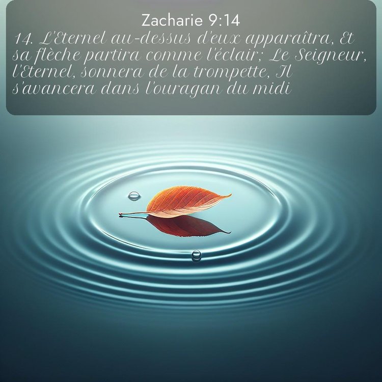 Segond Zacharie 9:14