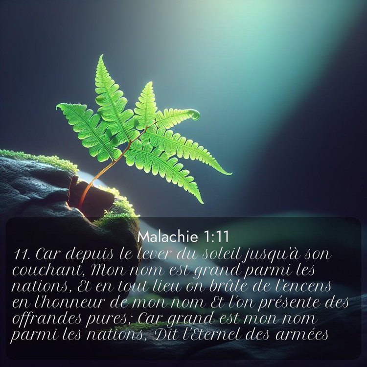 Segond Malachie 1:11