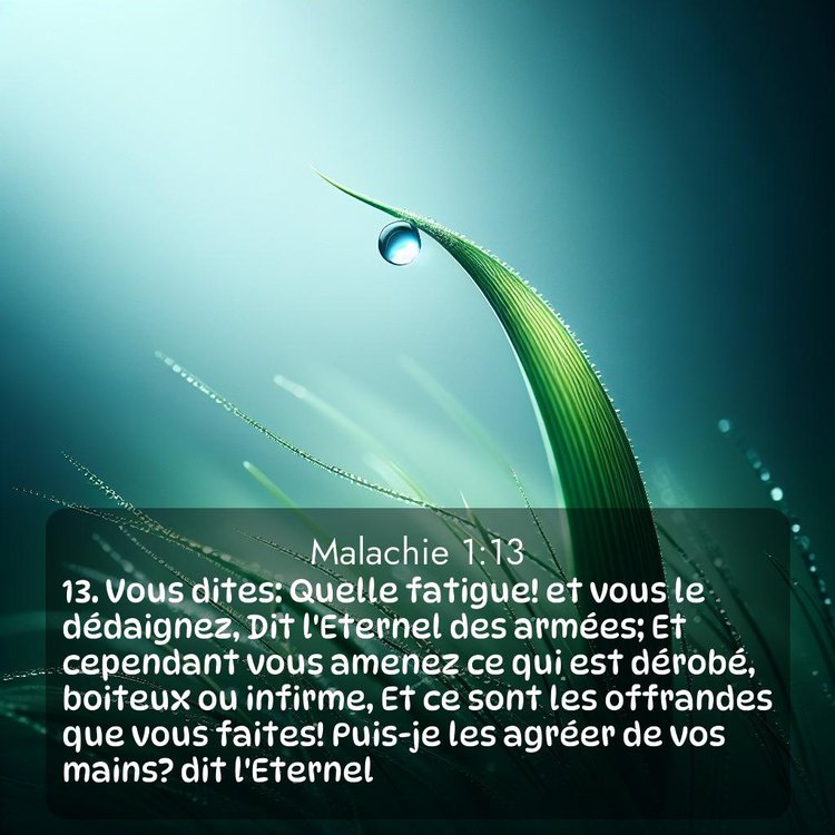 Segond Malachie 1:13