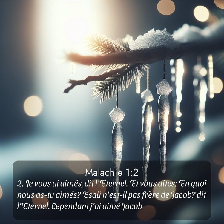 Segond Malachie 1:2