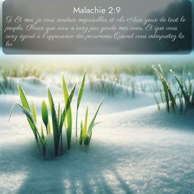 Segond Malachie 2:9