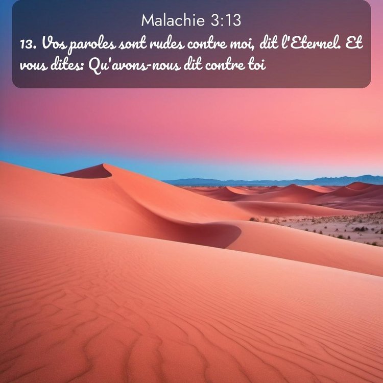 Segond Malachie 3:13