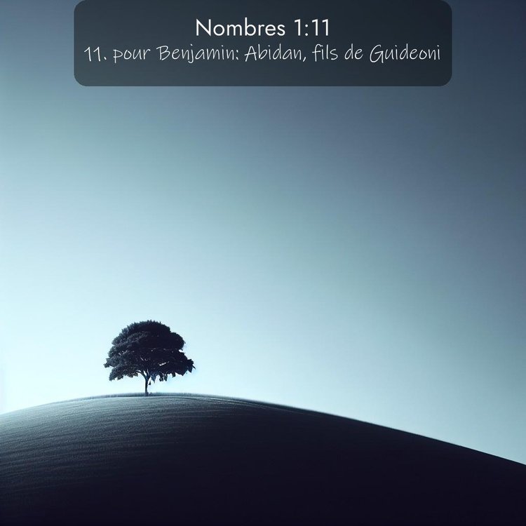 Segond Nombres 1:11