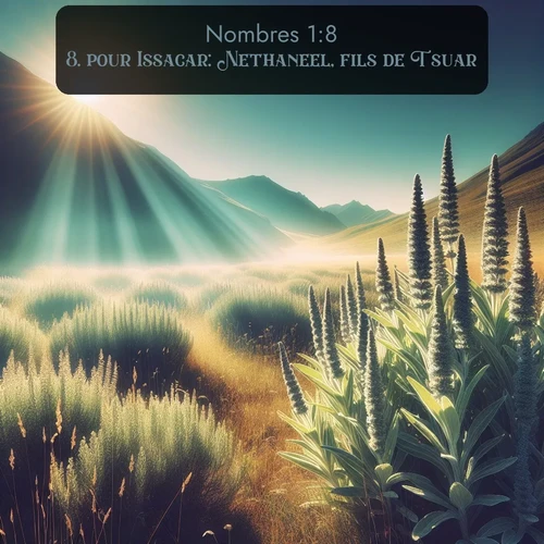 Segond Nombres  ; image nature: image avec le verset biblique :pour Issacar: Nethaneel, fils de Tsuar; ;  ; 1:8