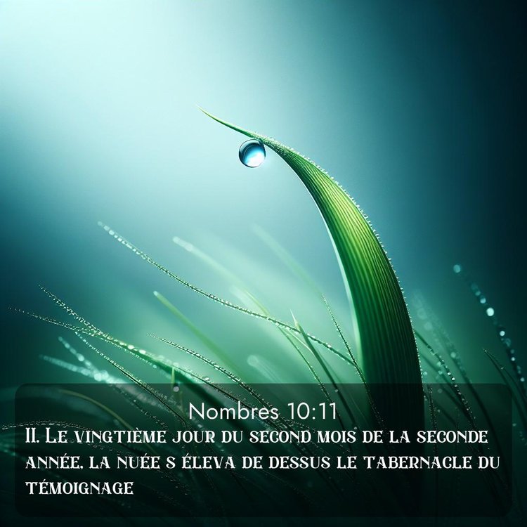 Segond Nombres 10:11