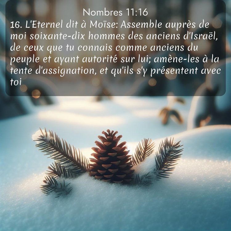 image nature avec verset biblique de la Bible
