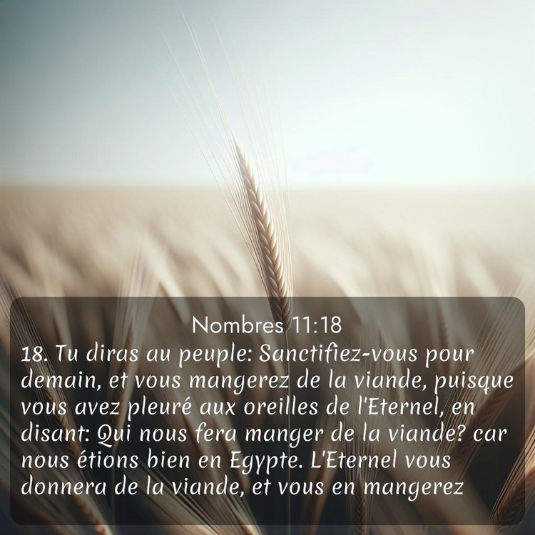 Segond Nombres 11:18