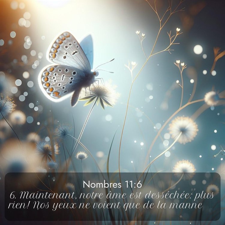 Segond Nombres 11:6