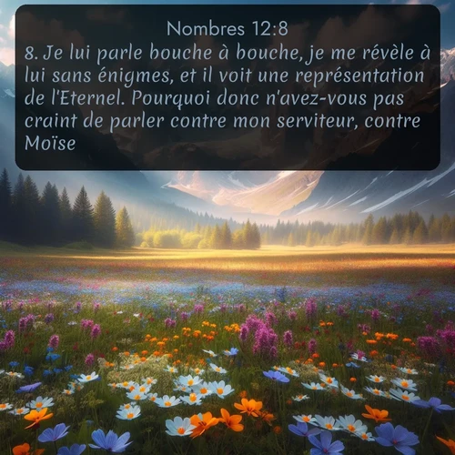Segond Nombres  ; image nature: image avec le verset biblique :Je lui parle bouche à bouche, je me révèle à lui sans énigmes, et il voit une représentation de l&#039;Eternel. Pourquoi donc n&#039;avez-vous pas craint de parler contre mon serviteur, contre Moïse? ;  ; 12:8