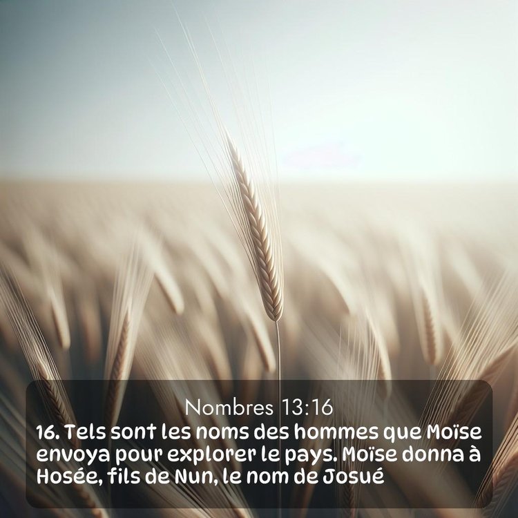 image nature avec verset biblique de la Bible