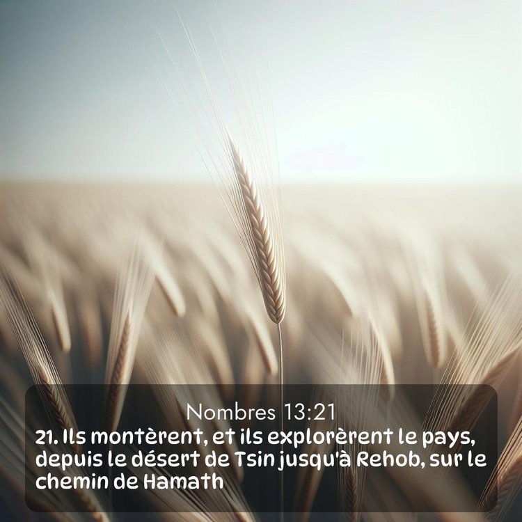 image nature avec verset biblique de la Bible