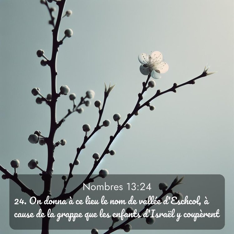 image nature avec verset biblique de la Bible