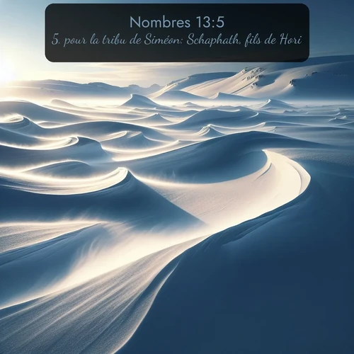 Segond Nombres  ; image nature: image avec le verset biblique :pour la tribu de Siméon: Schaphath, fils de Hori; ;  ; 13:5