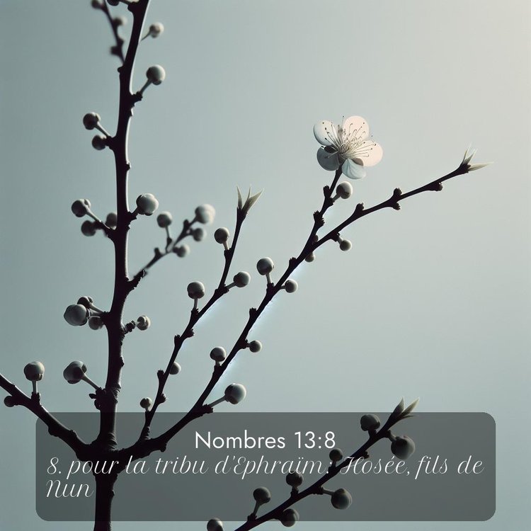 image nature avec verset biblique de la Bible