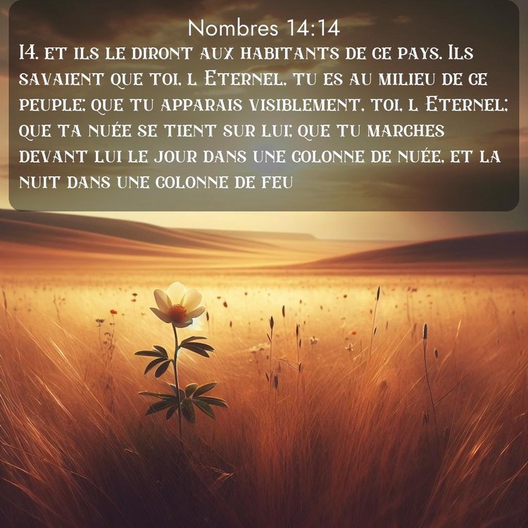 image nature avec verset biblique de la Bible