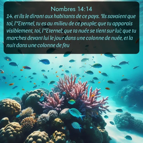 Segond Nombres  ; image nature: image avec le verset biblique :et ils le diront aux habitants de ce pays. Ils savaient que toi, l&#039;Eternel, tu es au milieu de ce peuple; que tu apparais visiblement, toi, l&#039;Eternel; que ta nuée se tient sur lui; que tu marches devant lui le jour dans une colonne de nuée, et la nuit dans une colonne de feu. ;  ; 14:14