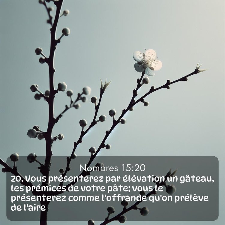 image nature avec verset biblique de la Bible