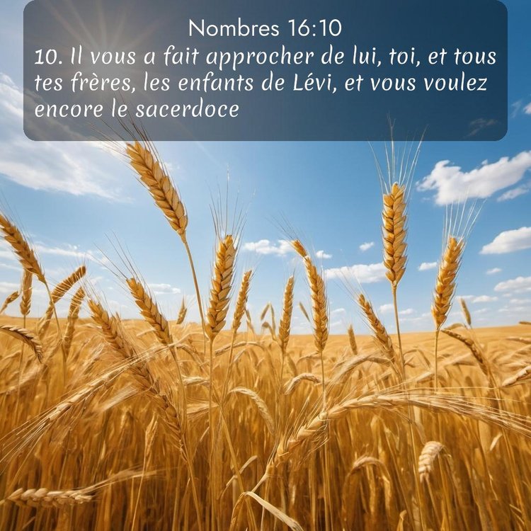 image nature avec verset biblique de la Bible