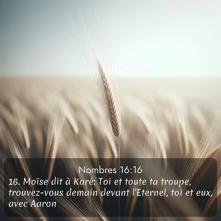 Segond Nombres 16:16