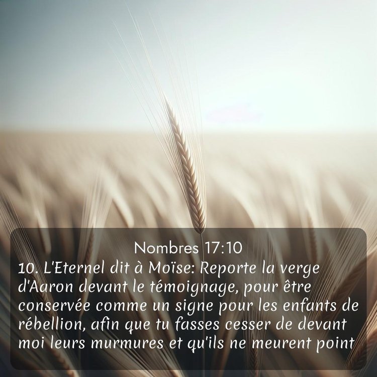 image nature avec verset biblique de la Bible