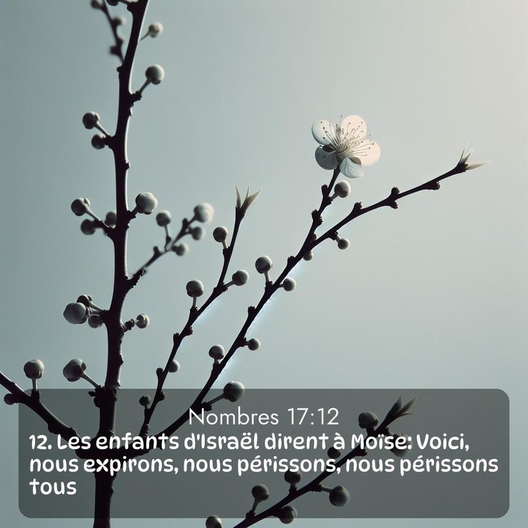 image nature avec verset biblique de la Bible
