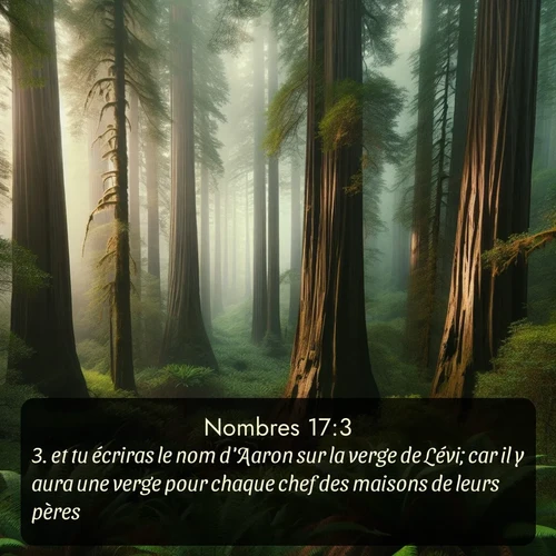 Segond 4 17:3
