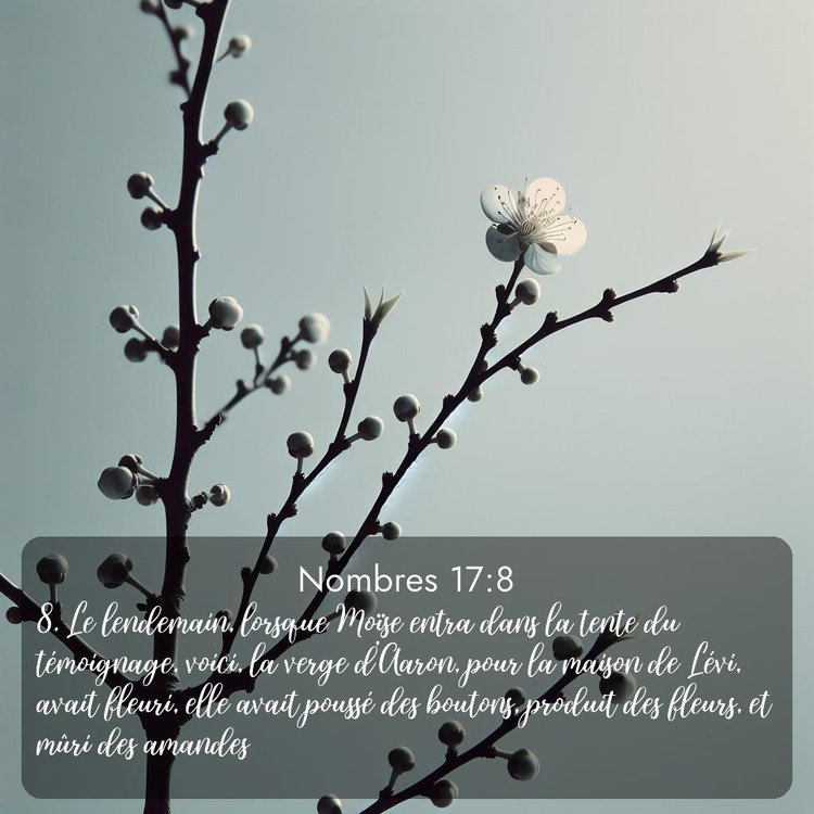 image nature avec verset biblique de la Bible