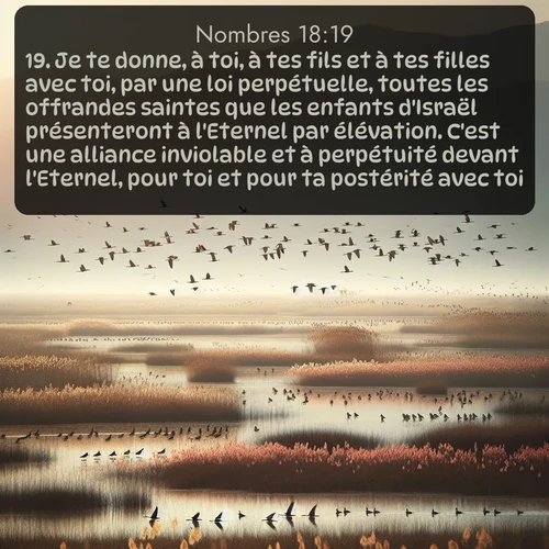 Segond Nombres  ; image nature: image avec le verset biblique :Je te donne, à toi, à tes fils et à tes filles avec toi, par une loi perpétuelle, toutes les offrandes saintes que les enfants d&#039;Israël présenteront à l&#039;Eternel par élévation. C&#039;est une alliance inviolable et à perpétuité devant l&#039;Eternel, pour toi et pour ta postérité avec toi. ;  ; 18:19