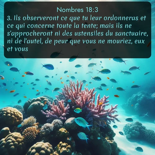 Segond Nombres  ; image nature: image avec le verset biblique :Ils observeront ce que tu leur ordonneras et ce qui concerne toute la tente; mais ils ne s&#039;approcheront ni des ustensiles du sanctuaire, ni de l&#039;autel, de peur que vous ne mouriez, eux et vous. ;  ; 18:3