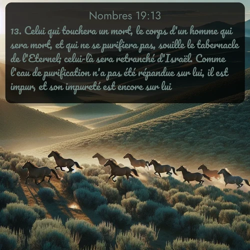 Segond Nombres  ; image nature: image avec le verset biblique :Celui qui touchera un mort, le corps d&#039;un homme qui sera mort, et qui ne se purifiera pas, souille le tabernacle de l&#039;Eternel; celui-là sera retranché d&#039;Israël. Comme l&#039;eau de purification n&#039;a pas été répandue sur lui, il est impur, et son impureté est encore sur lui. ;  ; 19:13