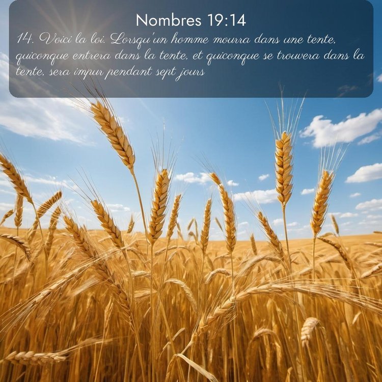 image nature avec verset biblique de la Bible
