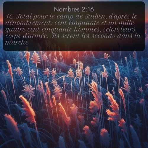 Segond Nombres  ; image nature: image avec le verset biblique :Total pour le camp de Ruben, d&#039;après le dénombrement: cent cinquante et un mille quatre cent cinquante hommes, selon leurs corps d&#039;armée. Ils seront les seconds dans la marche. ;  ; 2:16