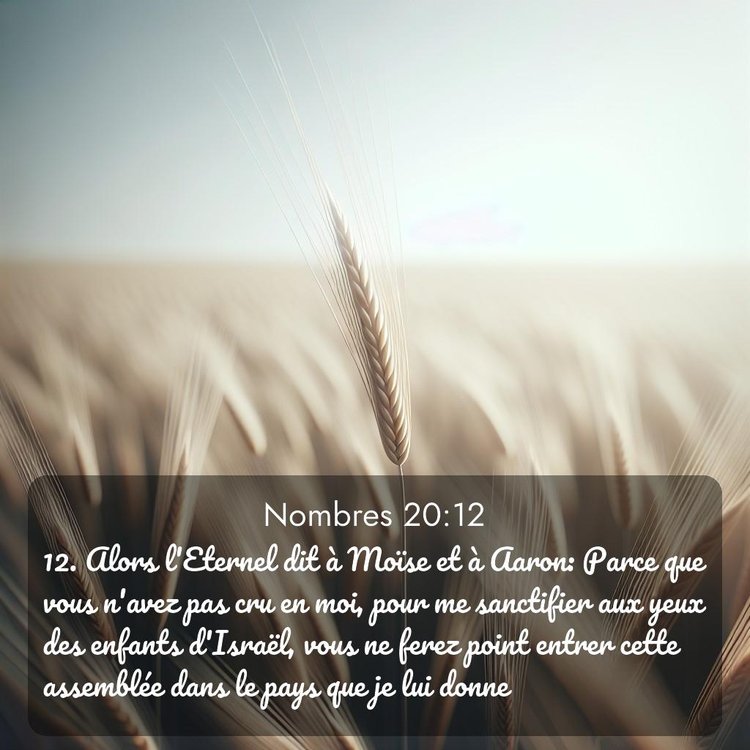 image nature avec verset biblique de la Bible