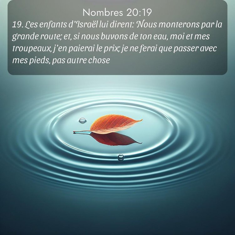 Segond Nombres 20:19