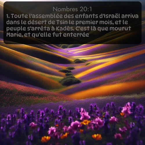 Segond 4 20:1