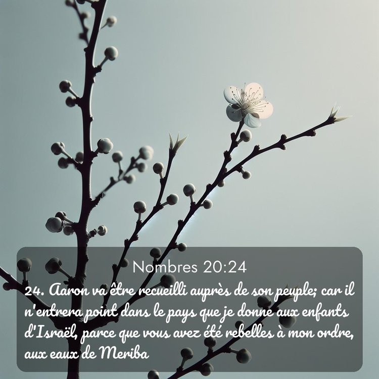 image nature avec verset biblique de la Bible