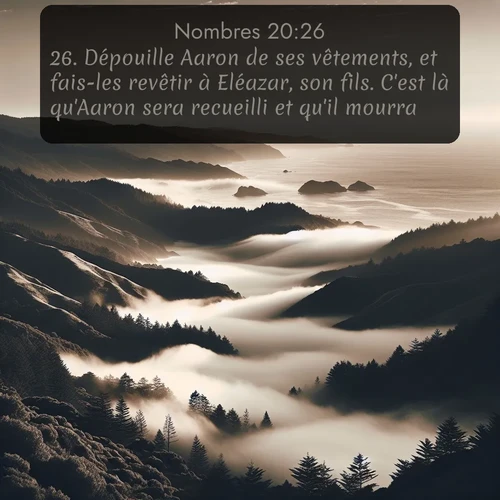 Segond Nombres  ; image nature: image avec le verset biblique :Dépouille Aaron de ses vêtements, et fais-les revêtir à Eléazar, son fils. C&#039;est là qu&#039;Aaron sera recueilli et qu&#039;il mourra. ;  ; 20:26