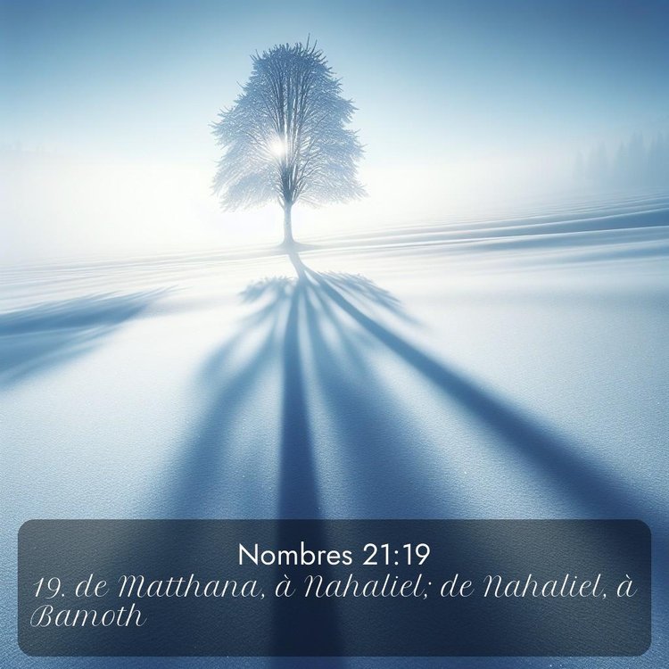 Segond Nombres 21:19