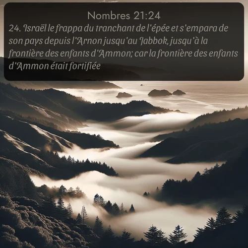 Segond Nombres  ; image nature: image avec le verset biblique :Israël le frappa du tranchant de l&#039;épée et s&#039;empara de son pays depuis l&#039;Arnon jusqu&#039;au Jabbok, jusqu&#039;à la frontière des enfants d&#039;Ammon; car la frontière des enfants d&#039;Ammon était fortifiée. ;  ; 21:24